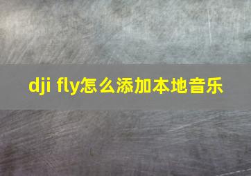 dji fly怎么添加本地音乐